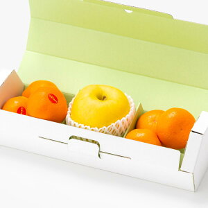 [p]Y݂i6ʁjƉ񂲁i1ʁjʕlߍ킹 t[cMtg lߍ킹 Mtg Zbg t[c ʕ  ݂  Y {  킢 V  j 