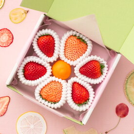 [贈答用]旬の国産紅白いちごの食べ比べと金柑のおめでとうギフト 果物詰め合わせ フルーツギフト 詰め合わせ ギフト フルーツ くだもの 果物 いちご 金柑 きんかん 国産 旬 おしゃれ かわいい 御礼 御祝 内祝 内祝い 誕生日 フルーツセット セット プレゼント 贈答 食べ比べ