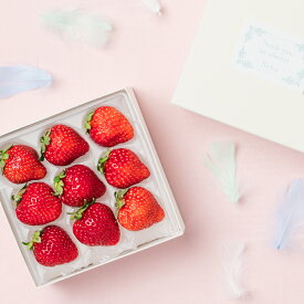 [贈答用]旬の国産赤いちごのありがとうギフト 果物詰め合わせ 詰め合わせ フルーツギフト ギフト 贈答 プレゼント フルーツ 果物 くだもの いちご おしゃれ かわいい 誕生日 御礼 御祝 内祝 お祝い 御見舞 旬 フルーツセット セット お見舞 市場直送 仲卸 誕生日プレゼント