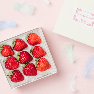 [p]{̍YԂ̂߂łƂMtg ʕlߍ킹 t[cMtg TL[Mtg  v[g t[c ʕ   C`S   킢 av[