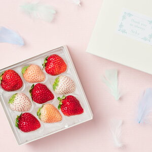 [p]{̍Yĝ肪ƂMtg ʕlߍ킹 t[cMtg TL[Mtg  v[g t[c ʕ   C`S  Y {  킢 a