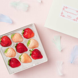 [贈答用]旬の国産紅白いちごの食べ比べ おめでとうギフト 果物詰め合わせ 詰め合わせ フルーツギフト ギフト 贈答 プレゼント フルーツ 果物 くだもの いちご おしゃれ かわいい 誕生日 御礼 内祝 御祝 御見舞 旬 フルーツセット セット 市場直送 仲卸 高級 お返し お祝い