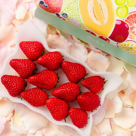 [贈答用]静岡県産 きらぴ香 いちご（1パック） 果物詰め合わせ フルーツギフト 詰め合わせ ギフト フルーツ 果物 くだもの いちご きらぴ香 静岡 国産 おしゃれ かわいい 御礼 御祝 内祝 御供 御見舞 見舞 誕生日 高級 贈答 プレゼント 誕生日プレゼント 市場直送 仲卸 お祝