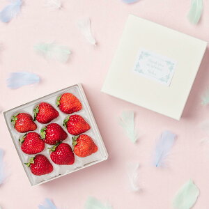 [p]{̍YԂ̂肪ƂMtg ʕlߍ킹 t[cMtg TL[Mtg  v[g t[c ʕ   C`S   킢 av[