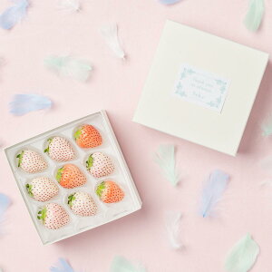 [p]{̍Ŷ߂łƂMtg ʕlߍ킹 t[cMtg TL[Mtg  v[g t[c ʕ   C`S  Y {  킢 a