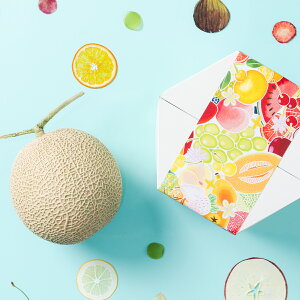 [p]ÉY NEi1ʁj ʕlߍ킹 t[cMtg lߍ킹 Mtg  v[g t[c ʕ    Y {  V  s꒼ 