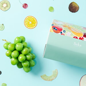 [p][V]YVC}XJbgi1[A500gj ʕlߍ킹 t[cMtg lߍ킹 Mtg  v[g t[c ʕ  Ԃǂ Y {    V