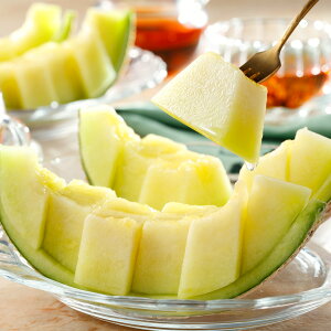 [p]Y A[Xi1ʁj ʕlߍ킹 t[cMtg lߍ킹 Mtg  v[g t[c ʕ    Y  V  s꒼  j 