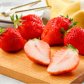 [贈答用]静岡県産 きらぴ香 いちご（2パック） 果物詰め合わせ フルーツギフト 詰め合わせ ギフト フルーツ 果物 くだもの いちご きらぴ香 静岡 国産 おしゃれ かわいい 御礼 御祝 内祝 御供 御見舞 誕生日 高級 プレゼント 贈答 お返し お祝い 内祝い 市場直送 仲卸 贈答用