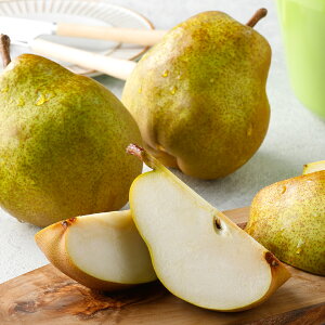 [p]R`YX[p[tiEtXji1.5kg 5~6ʁjʕlߍ킹 t[cMtg lߍ킹 Mtg  v[g t[c ʕ  EtX m Y {  