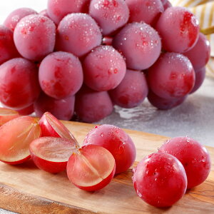 [p]RY Ԃǂ(1[A700g) ʕlߍ킹 t[cMtg Mtg  v[g t[c ʕ  Ԃǂ Y {    V s꒼  j  