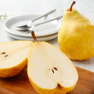 [p]Y EN`FmiVi2kg 5`6ʁj ʕlߍ킹 t[cMtg lߍ킹 Mtg v[g t[c ʕ  Y { miV m V  j j a s