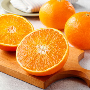 [p]Yg܂ǂȁi6ʁjʕlߍ킹 t[cMtg lߍ킹 Mtg t[c ʕ  Y {  킢 V  j s꒼  䋟   j 