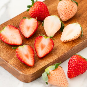 [p]{̍Yg̐Hה ߂łƂMtg ʕlߍ킹 t[cMtg TL[Mtg  v[g t[c ʕ   C`S  킢 av