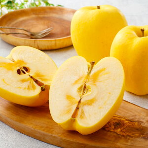 [p]Y ͂邩 񂲁i3ʁj ʕlߍ킹 t[cMtg lߍ킹 Mtg  v[g t[c ʕ  Y {   V s꒼  j 