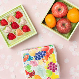 [p]{̍Yv~At[c̃~jdZbg ʕlߍ킹 t[cMtg lߍ킹 Mtg v[g t[c     ݂  킢  