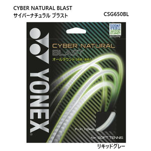 lbNX@@\tgejX@XgO@Kbg@TCo[i` uXg@yonex@CSG650BL@2100