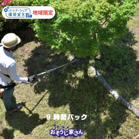 お手伝いパック9時間定額　※2名の場合は4.5時間で対応