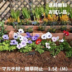 o[N`bvA}`OށAhAD͂˖h~AێAfMAp