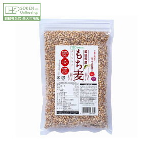 ynЌzQY 300g | Y QY nH@ 唞[OJܗL H@ G    H@ _CGbg wV[ Hi n