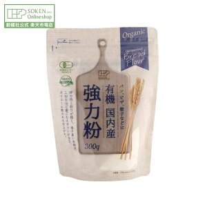 ynЌzL@Y ͕ 300g | L@͔|  L@ p sU n Lq ^     L@JAS n