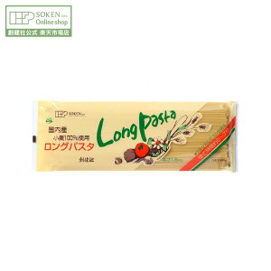 ynЌzY100%gpOpX^ 400g | 1.5mm Y  pX^ XpQeB XpQeB[  ߂ 䥂  Ŗ wV[ Hi n