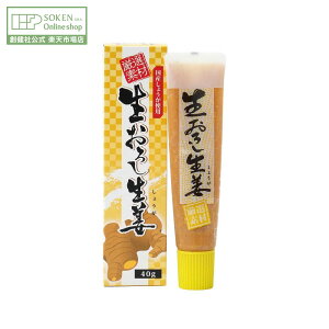 ynЌz낵I 40g | YI 100% I 傤 낵I`[u `[u^Cv F n