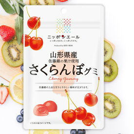 全農 ニッポンエール 山形県産さくらんぼグミ ご当地グミ お菓子 フルーツグミ 果実グミ グルメ 名産 お土産 おみやげ