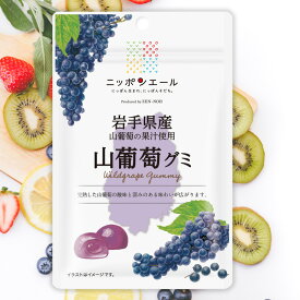 全農 ニッポンエール 岩手県産山葡萄グミ 山ブドウ 山ぶどう グレープ ご当地グミ お菓子 フルーツグミ 果実グミ グルメ 名産 お土産 おみやげ