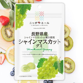 全農 ニッポンエール 長野県産シャインマスカットグミ ブドウ ぶどう ご当地グミ お菓子 フルーツグミ 果実グミ グルメ 名産 お土産 おみやげ