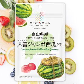 全農 ニッポンエール 富山県産入善ジャンボ西瓜グミ すいか スイカ ご当地グミ お菓子 フルーツグミ 果実グミ グルメ 名産 お土産 おみやげ