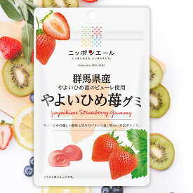 全農 ニッポンエール 群馬県産やよいひめ苺グミ いちご イチゴ ストロベリー ご当地グミ お菓子 フルーツグミ 果実グミ グルメ 名産 お土産 おみやげ