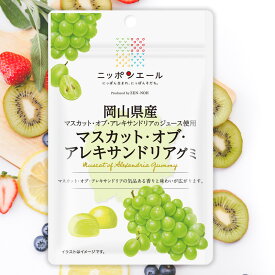 全農 ニッポンエール 岡山県産マスカット・オブ・アレキサンドリアグミ ぶどう グレープ ご当地グミ お菓子 フルーツグミ 果実グミ グルメ 名産 お土産 おみやげ