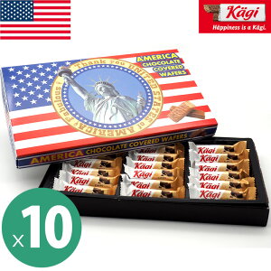 kagi J[M AJfUC `REFn[X 10Zbg(118115g)  EGn[X `R[g AJ݂₰ AJyY ċGN[ o^C