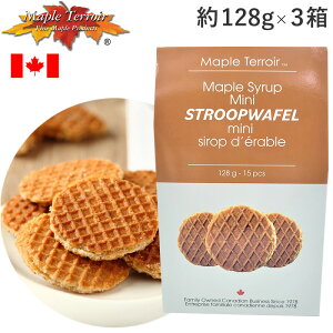 [ve[ [vVbv~jbt 15×3Zbg [vbtNbL[ Maple Terroir [ve[ Ji_yY ʑ