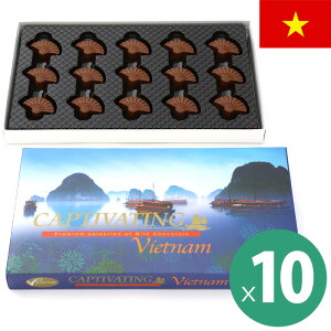 xgi np^`R[g 10Zbg(115180g) VIETNAM xgi݂₰ xgiyY CO݂₰ Aَq ċGN[ o^C