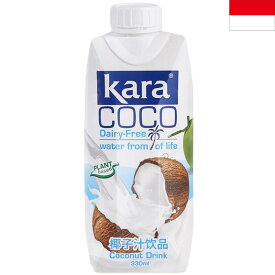 カラココ ココナッツミルクドリンク 330ml karacoco ココナツミルク ココナッツドリンク 無着色 保存料不使用 インドネシア土産