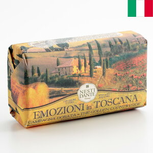 Nesti Dante lXeBE_e GWI[jCgXJ[i\[v Jp[jh[^ 250g C^A΂ 100AIC C^AyY AG