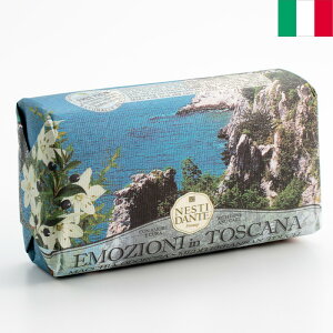 Nesti Dante lXeBE_e GWI[jCgXJ[i\[v }bLIhT 250g C^A΂ 100AIC C^AyY AG