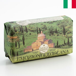 Nesti Dante lXeBE_e GWI[jCgXJ[i\[v {MGiXe 250g C^A΂ 100AIC C^AyY AG