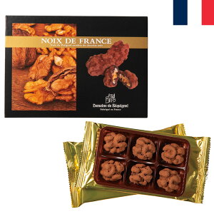 xLj[ mAEhEtX 6Zbg ݃`R[g BEQUIGNOL NOIX DE FRANCE tX݂₰ tXyY Aَq ċGN[ o^C