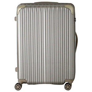 TRIDENT TRI2035K-67 gCfg X[cP[X ו 10 siffler Vt t@Xi[ Wbp[ ^ g TXyV _uLX^[