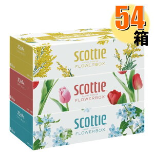 yzXRbeB@t[{bNXeBV[ 500(250g) 1P[X[54F1pbNi3j×18] y250wzyeBbVy[p[zy܂Ƃߔz