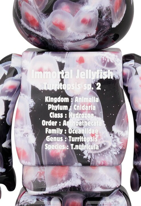 楽天市場】MEDICOM TOY BE@RBRICK JELLYFISH「ベニクラゲ」100％ & 400 