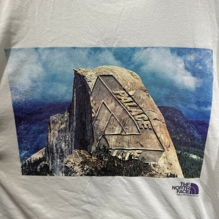 楽天市場】THE NORTH FACE PURPLE LABEL × PALACE 21ss L/S Graphic 
