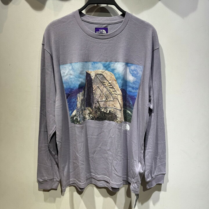 楽天市場】THE NORTH FACE PURPLE LABEL × PALACE 21ss L/S Graphic 