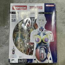 楽天市場】supreme male anatomy modelの通販