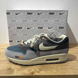 NIKE x KASINA AIR MAX 1 SP WON-ANG Size-28cm DQ8475-001 ナイキ カシナ エアマックス スニーカー 心斎橋店【中古】
