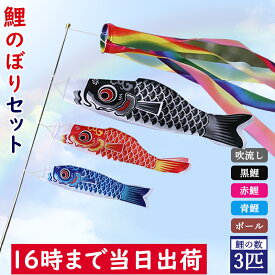 P2倍【14時迄当日出荷】送料無料 セット 鯉のぼり 男の日 端午の節句 鯉のぼり お庭 庭園用 鯉のぼり スタンド ベランダ 鯉のぼり 竿 高級 鯉のぼり 出産祝い 赤ちゃん 鯉のぼり 室内 おしゃれ 屋外 鯉のぼり アパート 男の子 女の子 こいのぼり ギフト 鯉のぼり ポール