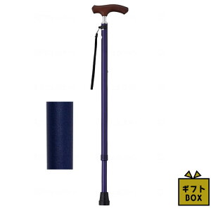 Mtg{bNXdl EFt@ CtXebL XlbNLkx[VbN^Cv(n) lCr[